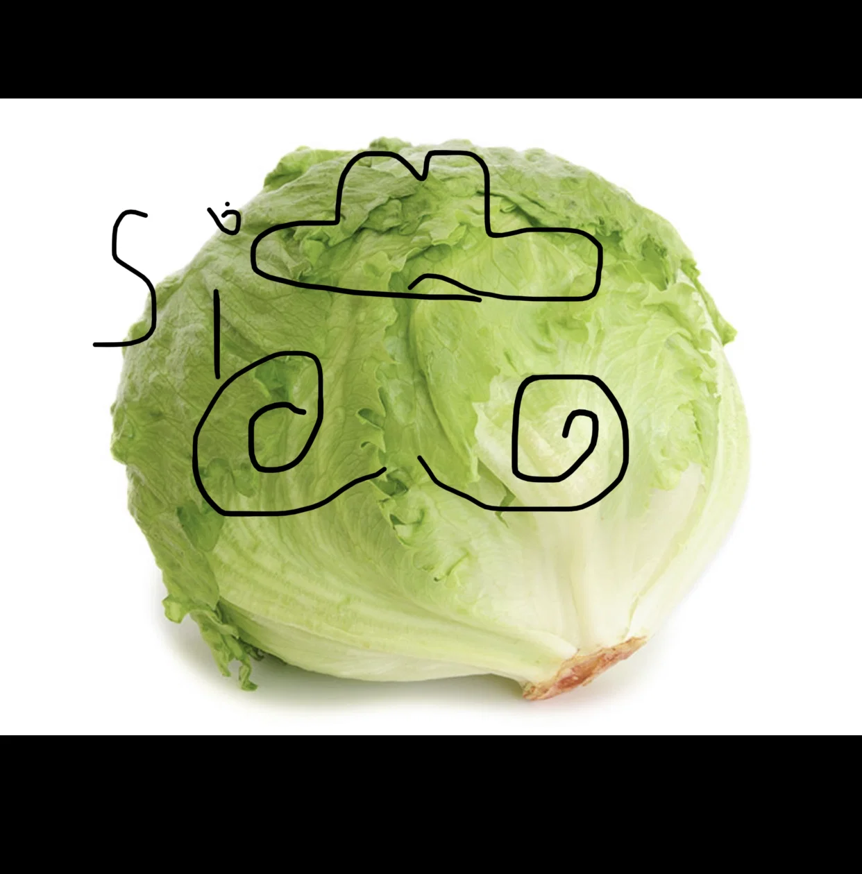 Ellettuce